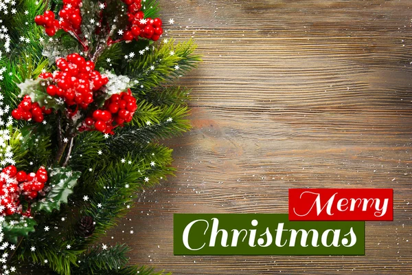 Karácsonyi fenyő fa ágai — Stock Fotó