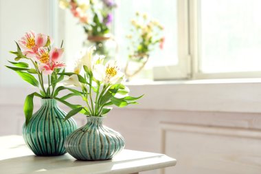 Güzel alstroemeria çiçek
