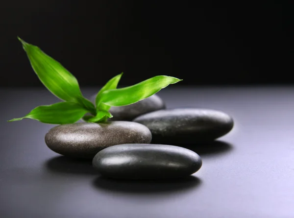 Pile of pebbles with bamboo leaves — Stock Photo, Image