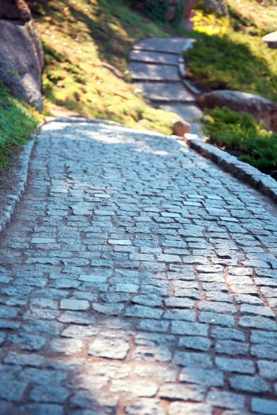 Cobblestone path in a park — Stock Photo, Image