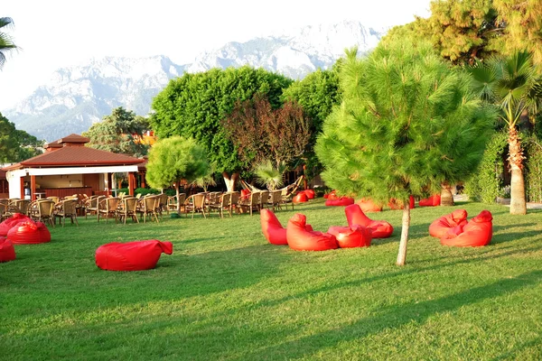 Красивое Фото Турецкого Парка Летом — стоковое фото