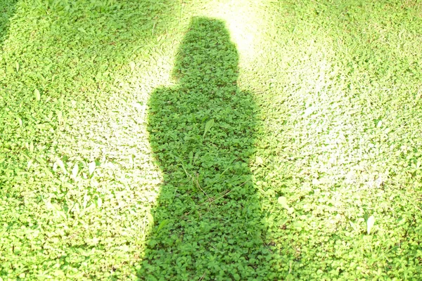 Sombra feminina na grama — Fotografia de Stock