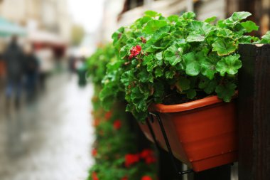 çiçek Caddesi üzerinde tencere