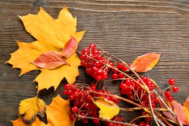 sonbahar yaprakları arka plan