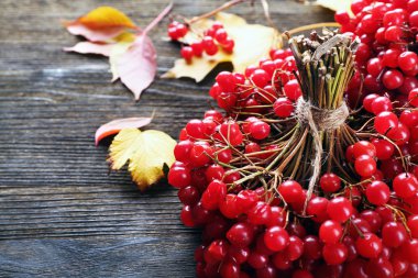 Sonbahar kompozisyon: Grup kartopu ve renkli yaprakları üzerinde ahşap masa, yakın çekim