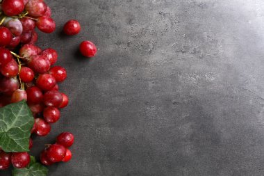 Gri arka plan, kopya alanı üzerinde yeşil yaprakları ile üzüm demet
