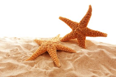 Kum beyaz arka plan üzerinde büyük güzel starfishes