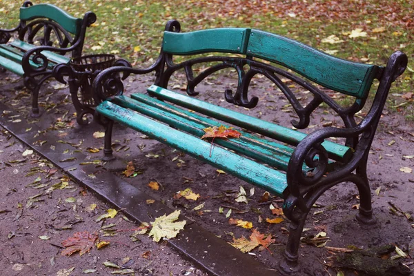 Foglia d'acero su una panchina — Foto Stock