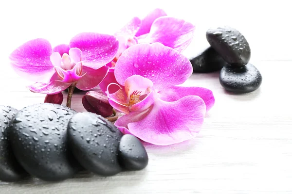 Beautiful composition of orchid and pebbles — Stock Photo, Image