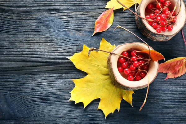 Composition of guelder-rose and autumn leaves on wooden background — Stock Photo, Image