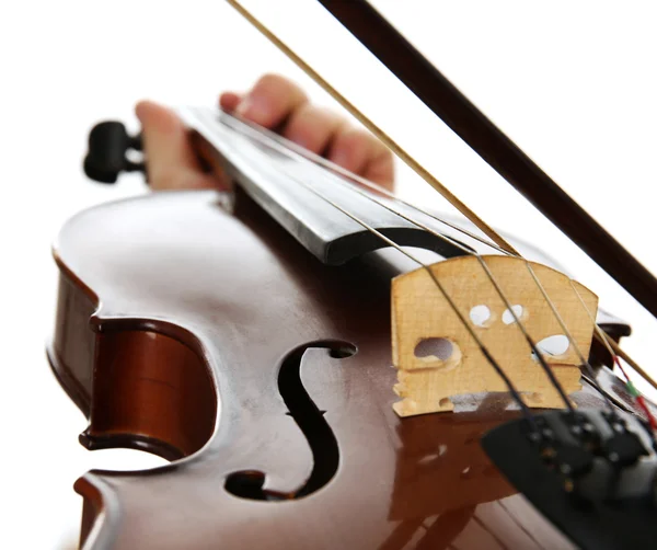 Musicista suonare il violino — Foto Stock