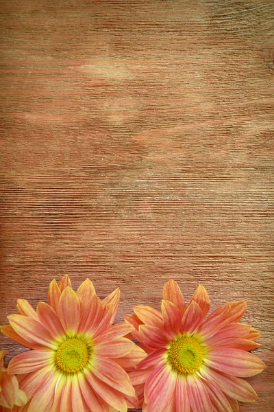 Fleurs sur fond en bois — Photo