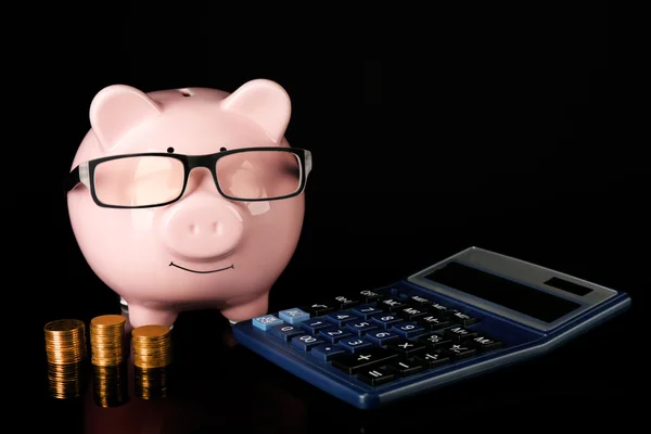 Banco porquinho com óculos — Fotografia de Stock