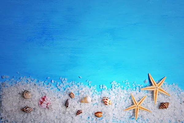 Seashells on blue background — Stock Photo, Image