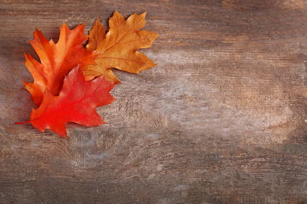 Feuilles de chêne sur fond bois, gros plan — Photo