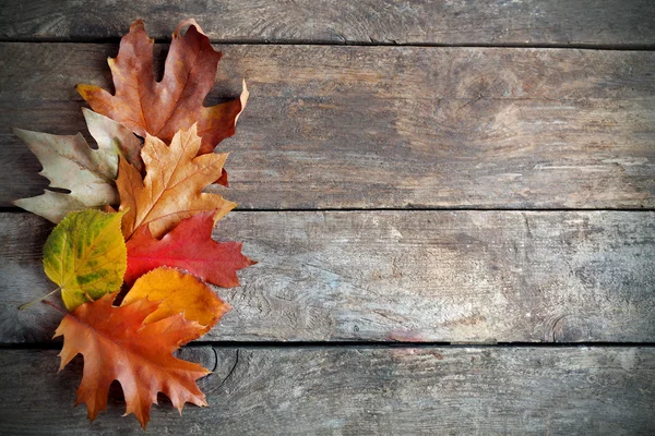 Autumn leaves in a row on wooden background, close up — Stock Photo, Image