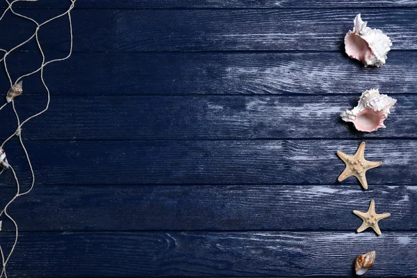 Zeester en schelpen in een rij op blauwe houten achtergrond, kopie ruimte — Stockfoto