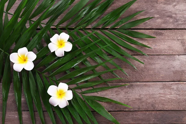 Vackra sammansättningen av frangipani blomma med palmblad på trä bakgrund, närbild — Stockfoto