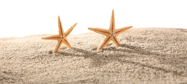 Sea stars on sand isolated on white — Stock Photo, Image