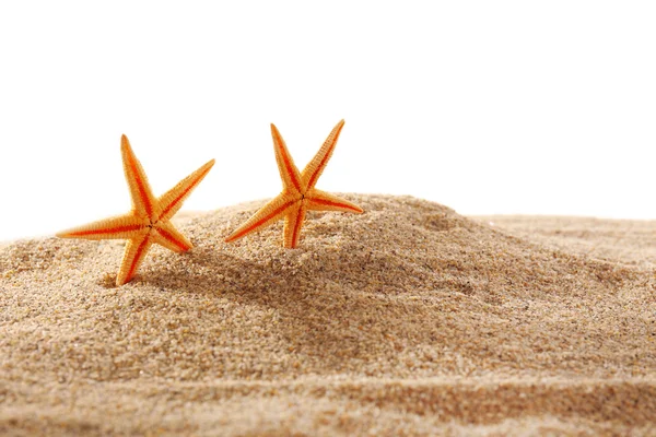 Estrellas marinas sobre arena aislada sobre blanco —  Fotos de Stock