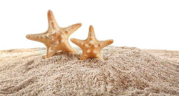 Zeesterren en schelpen op zand geïsoleerd op witte achtergrond — Stockfoto