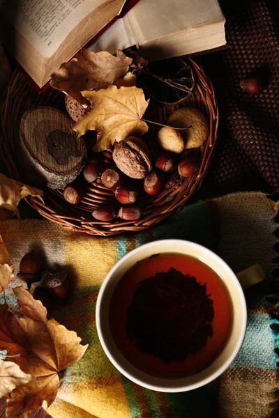 Cup of tea with autumn decor — Stock Photo, Image