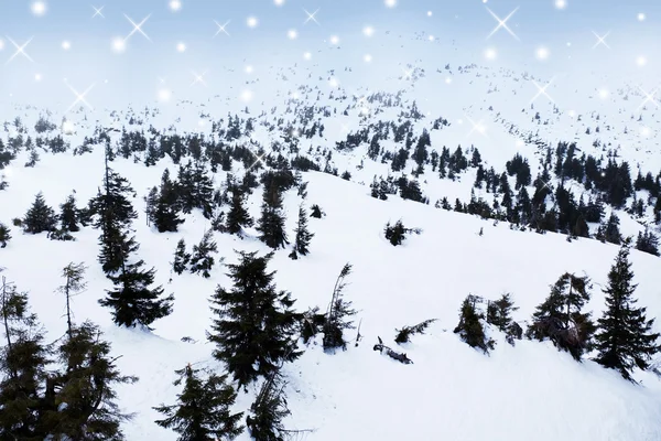Christmas landscape  with fresh snow — Stock Photo, Image