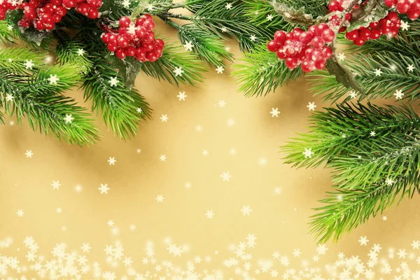 Ramas de abeto navideño con serbal sobre fondo de papel — Foto de Stock