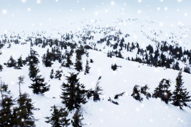 Karlı Noel arkaplanı