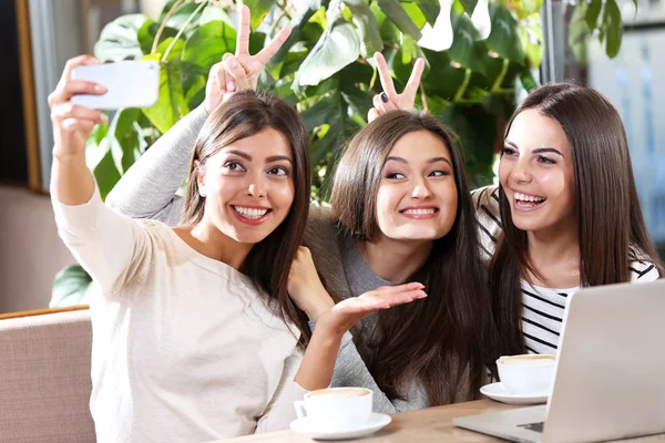 Beste vrienden met laptop — Stockfoto