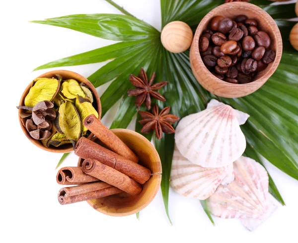 Prachtige wellness instelling op palm blad, geïsoleerd op wit — Stockfoto