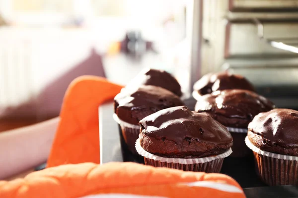 Housewife preparing chocolate cupcakes in oven, close up