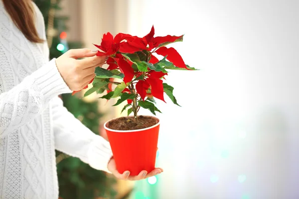 Mulher com flor de Natal poinsettia — Fotografia de Stock