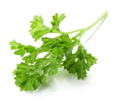 Beyaz maydanozlu taze maydanoz