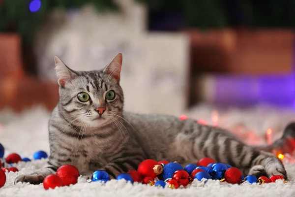 Mooie kat in de buurt van de kerstboom — Stockfoto