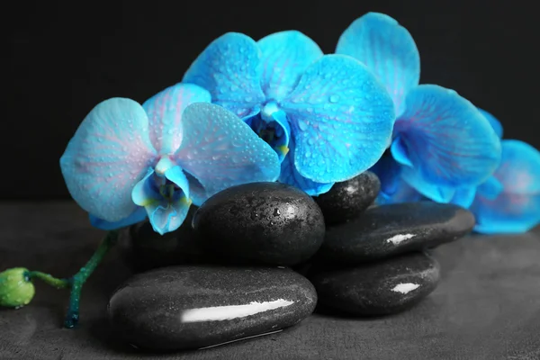 Kaunis kylpylä koostumus sininen orkidea ja kivet — kuvapankkivalokuva