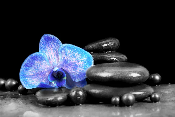 Красивая спа-композиция с голубой орхидеей и камнями — стоковое фото