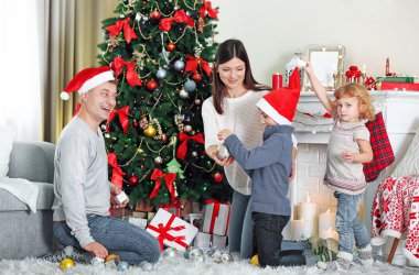 Aile dekorasyonu Noel ağacı