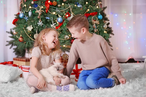 Niños felices y gato esponjoso —  Fotos de Stock