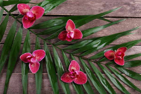 Vackra sammansättning av lila orkidé med palmblad på trä bakgrund, närbild — Stockfoto