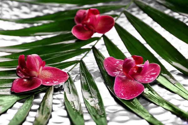 Bela composição de orquídea roxa em folhas de palma, close-up — Fotografia de Stock
