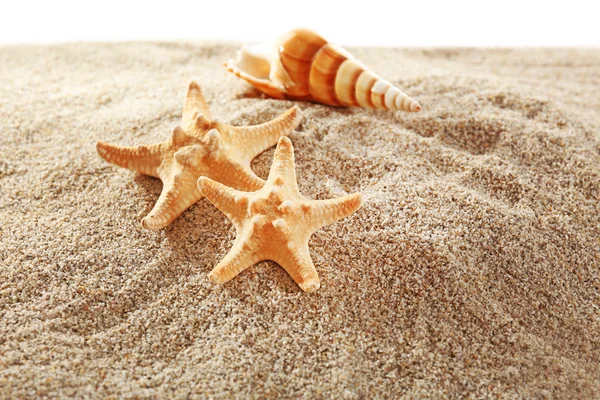 Seesterne und Muscheln auf Sand isoliert auf weißem Hintergrund — Stockfoto