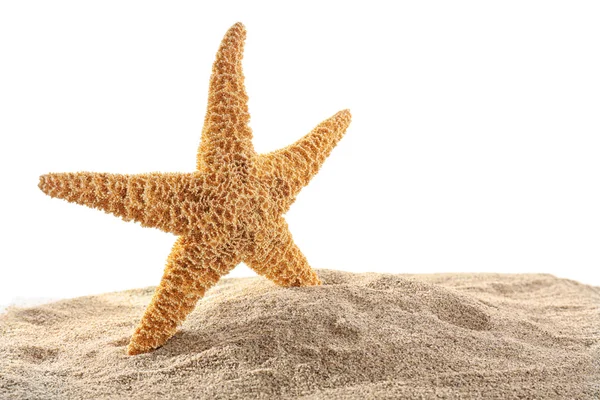 Deniz yıldızı beyaz izole kum üzerinde — Stok fotoğraf