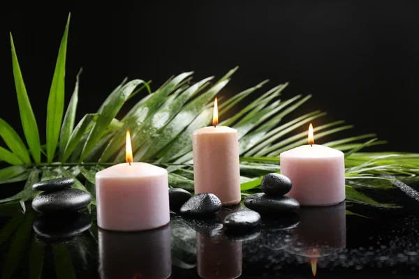 Candele aromatiche e ciottoli con foglie di palma su sfondo scuro — Foto Stock