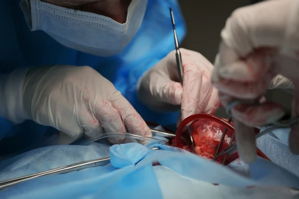 Médico Haciendo Operación Corazón Cerca — Foto de Stock