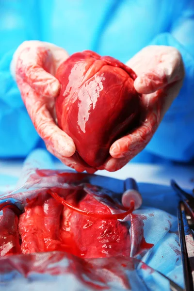 心臓を持つ医師 — ストック写真