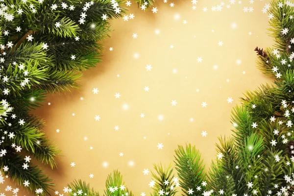 Vánoční strom jedle větví — Stock fotografie