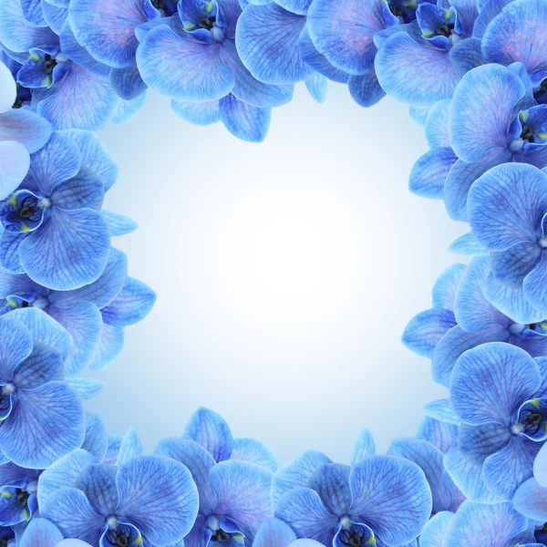 Světlý rám vyroben z květy orchidejí — Stock fotografie