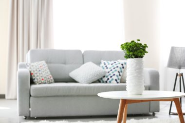 Güzel yeşil Kasımpatı'Oda tabloda vazoda