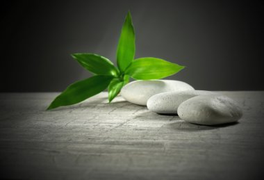 Çakıl yaprakları ile kompozisyon